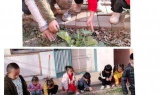 幼儿园植树节拜访大树主题说明 植树节图画一等奖