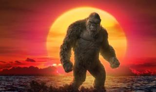 哥斯拉大战金刚2金刚在水里杀的是什么 哥斯拉大战金刚抢先看