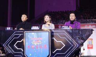 中国达人秀上的歌手 中国达人秀总冠军