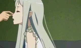 未闻花名原本的名字 我们仍未知道花名