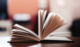 瑞典足球国家队现在排名世界第几 世界足球排名2022最新排名